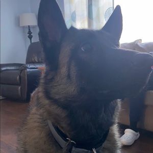 Meet your Posher, Sean